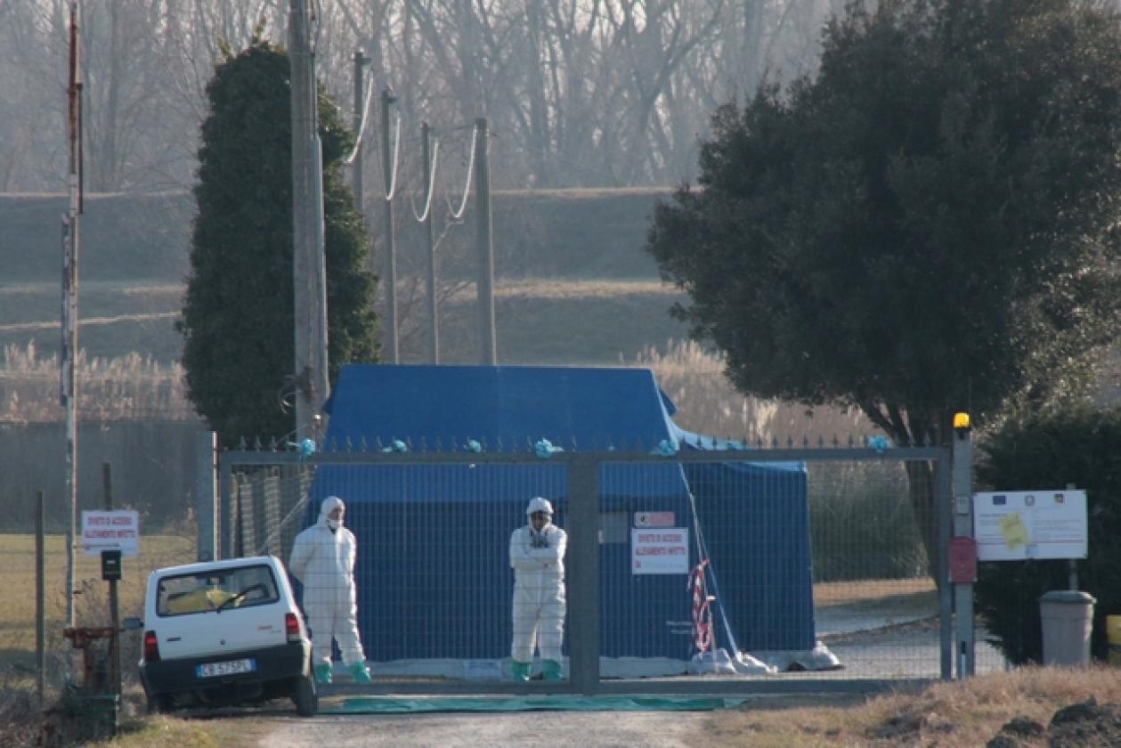 Porto Viro Azienda Agricola Belfo 9