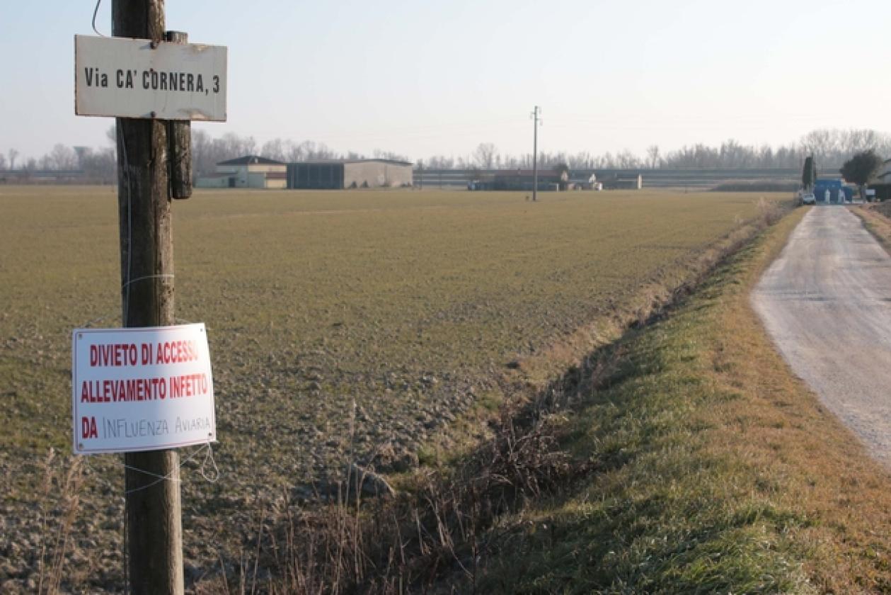 Porto Viro Azienda Agricola Belfo