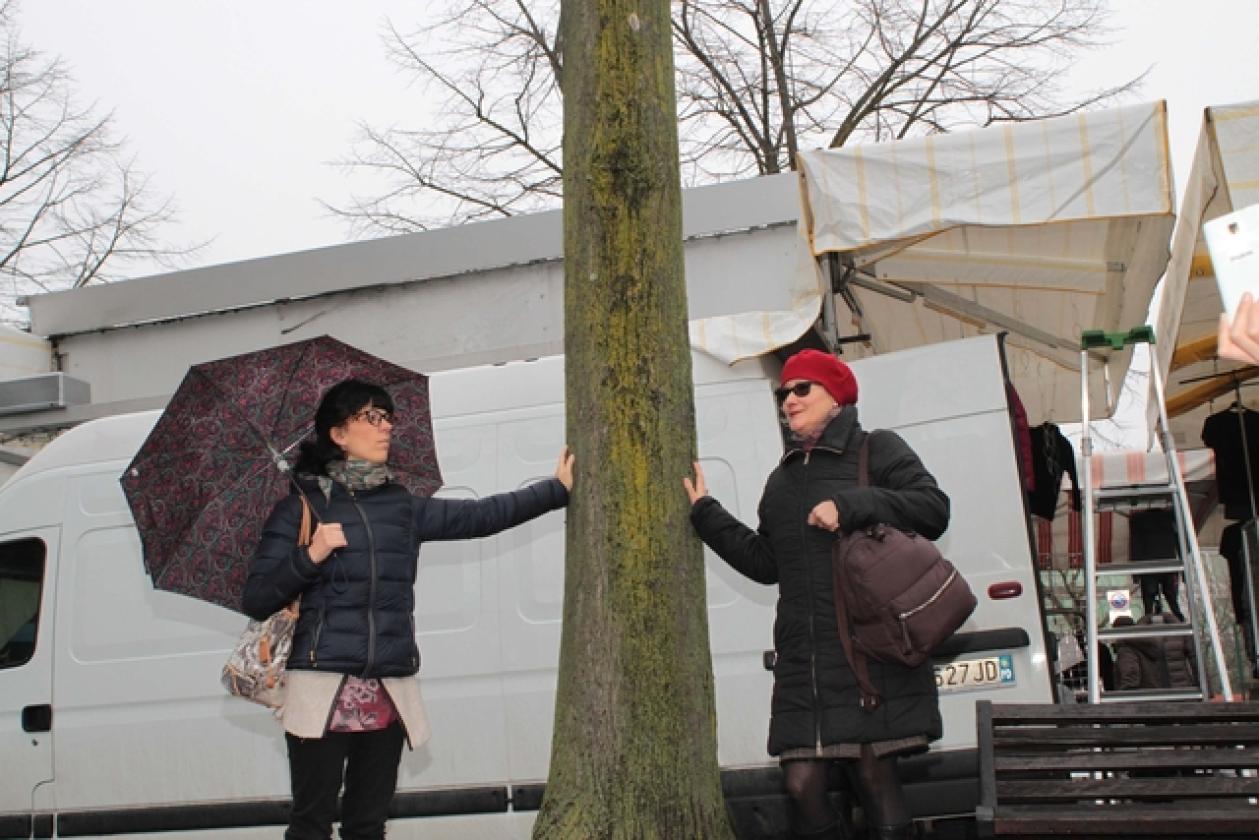 Via Tis Da Garofolo protesta Alberi 10