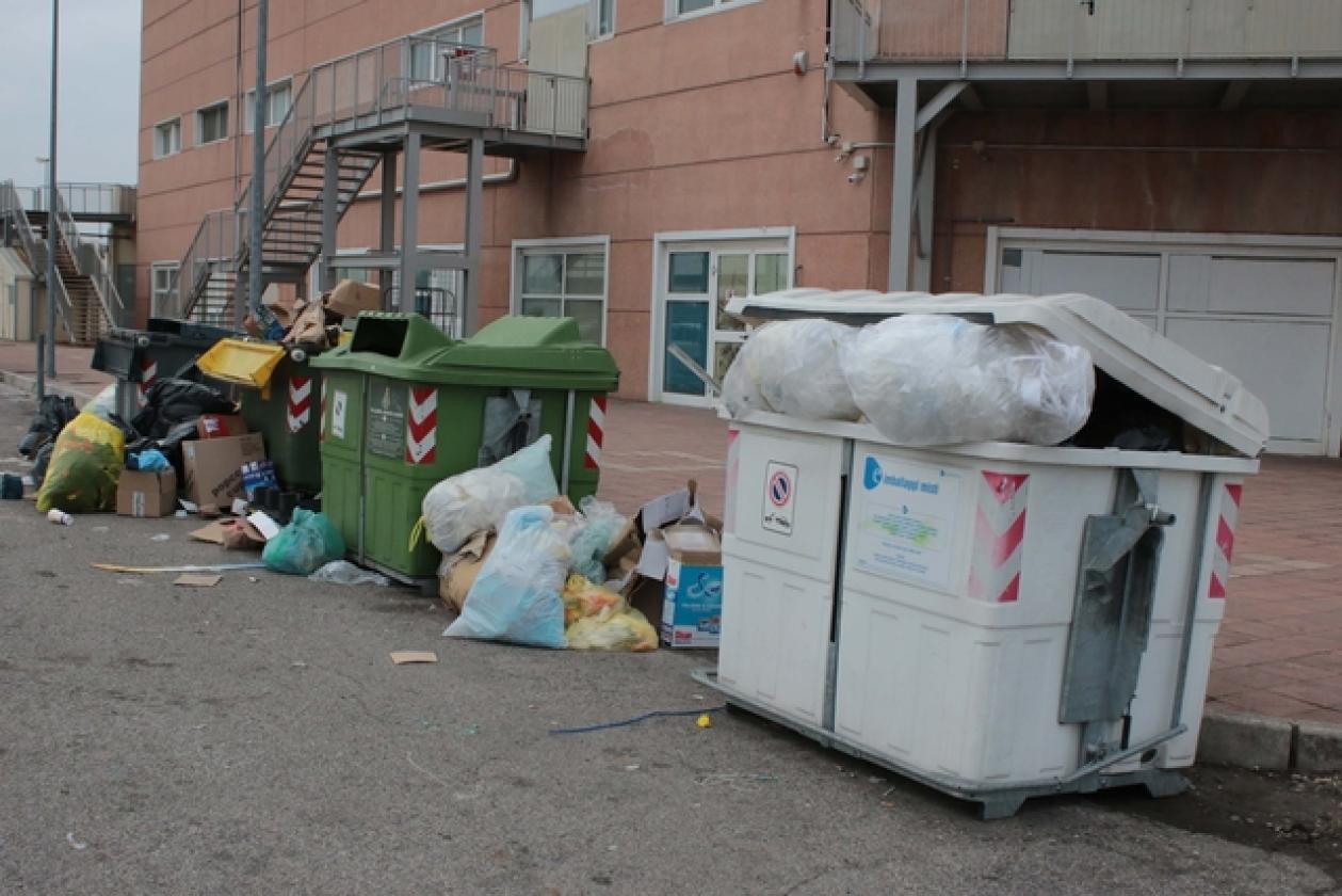La Fattoria Immondizia 1