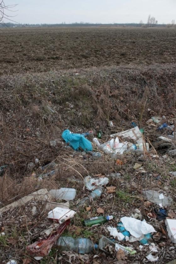 La Fattoria Immondizia 5