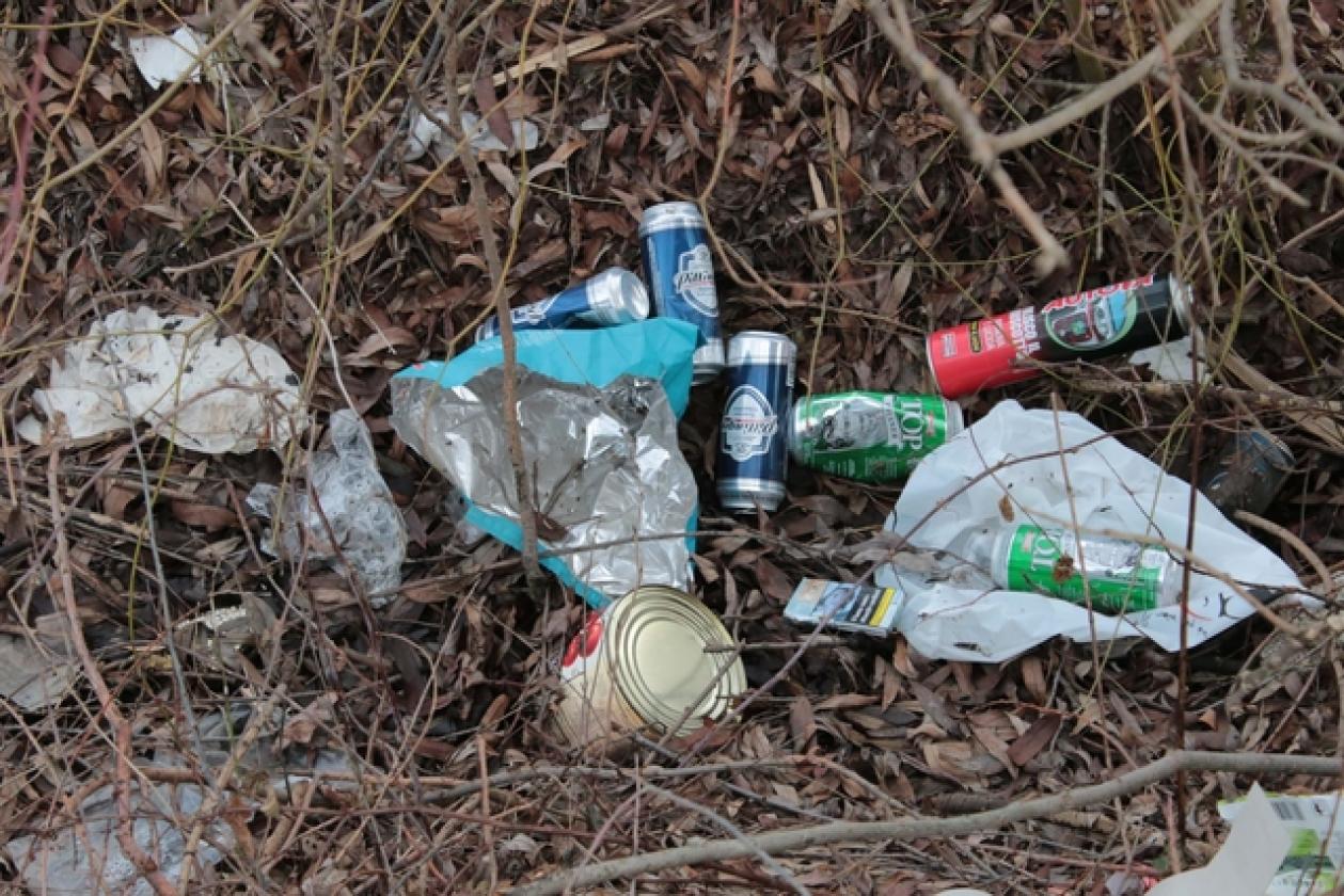 La Fattoria Immondizia 8