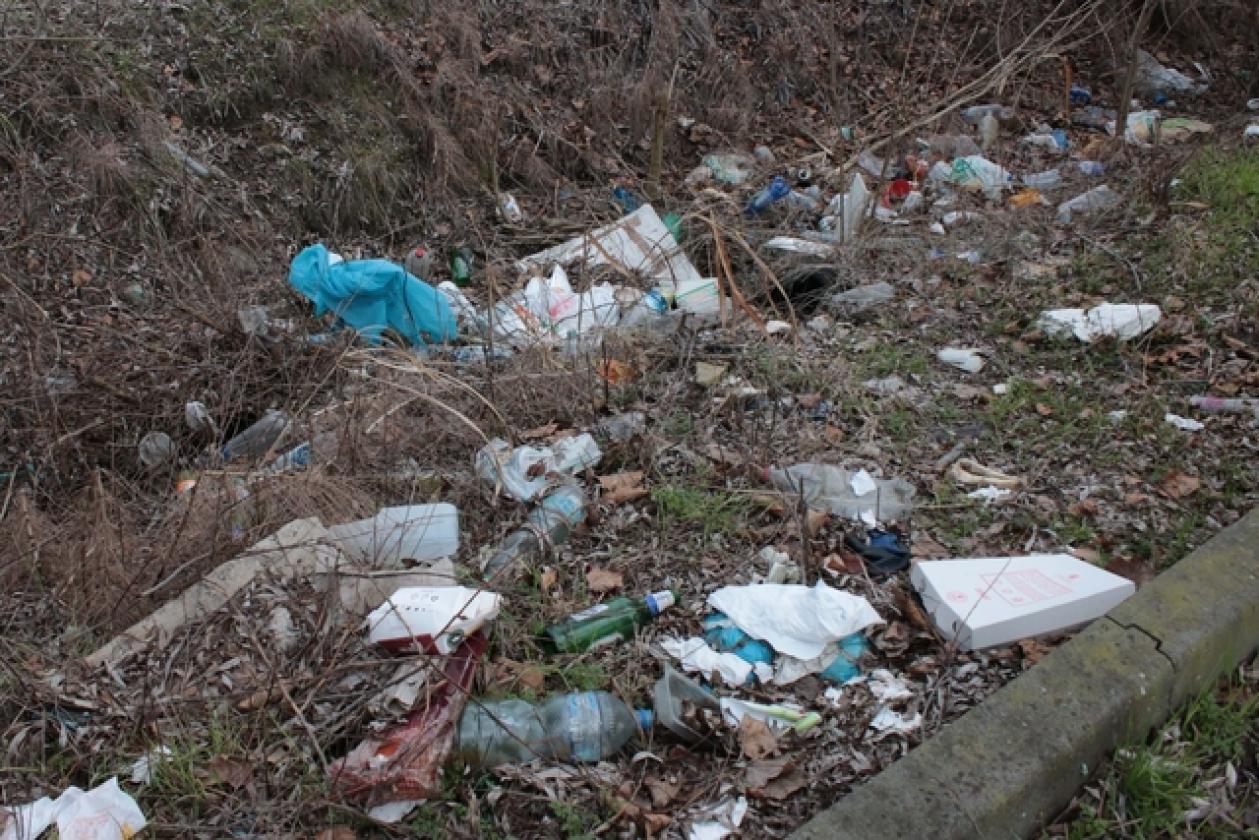 La Fattoria Immondizia 9