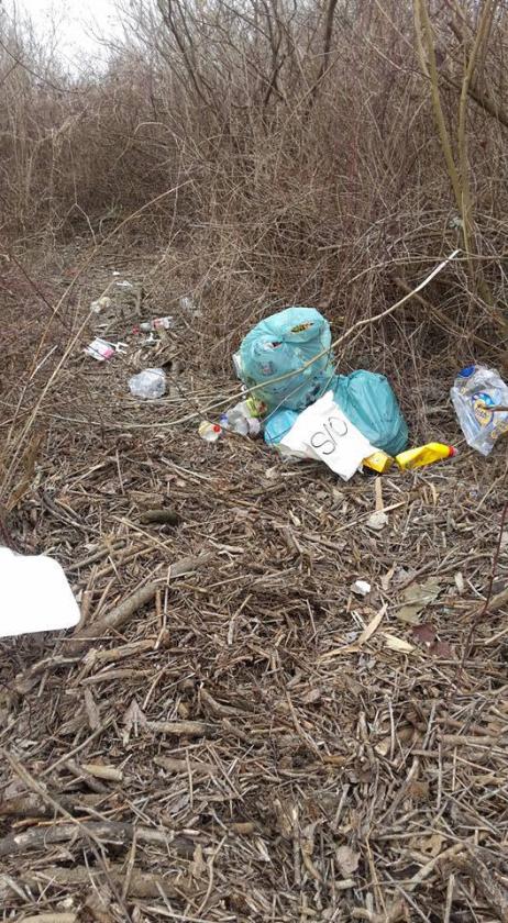 BOTTRIGHE Rifiuti abbadonati in golena (3)