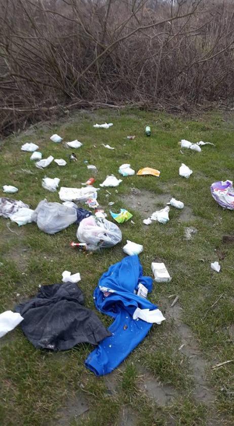 BOTTRIGHE Rifiuti abbadonati in golena (4)
