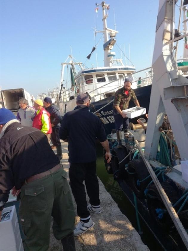 pescatori pila5