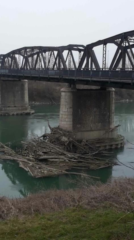 Materiale fermo ponte Ca' Morosini Lendinara (2)