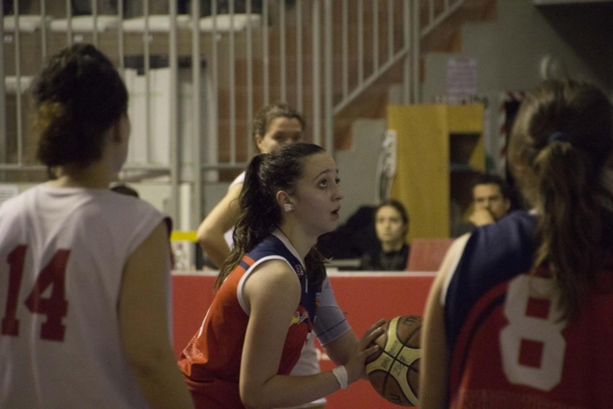 elisa ballarin