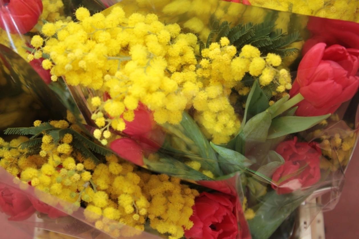 Festa della Donna 8