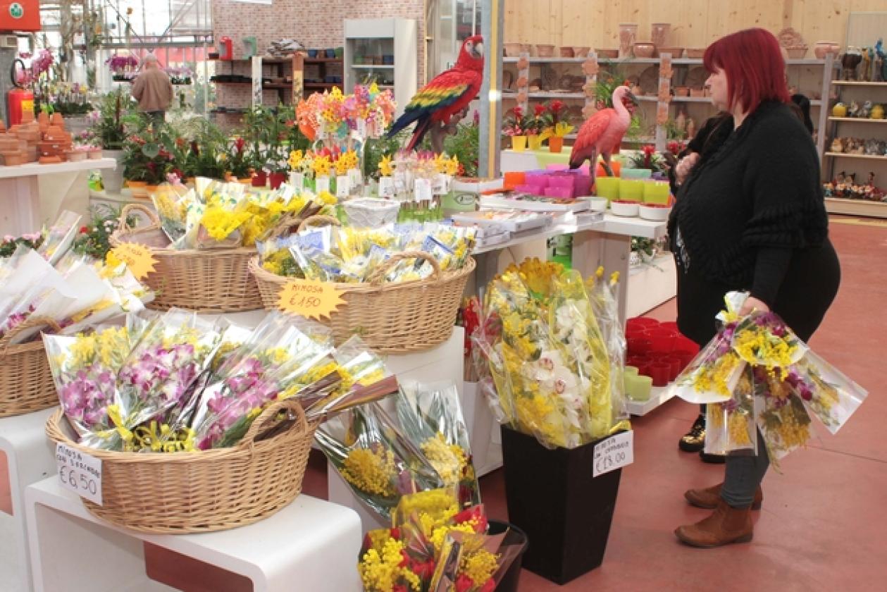 Festa della Donna 4