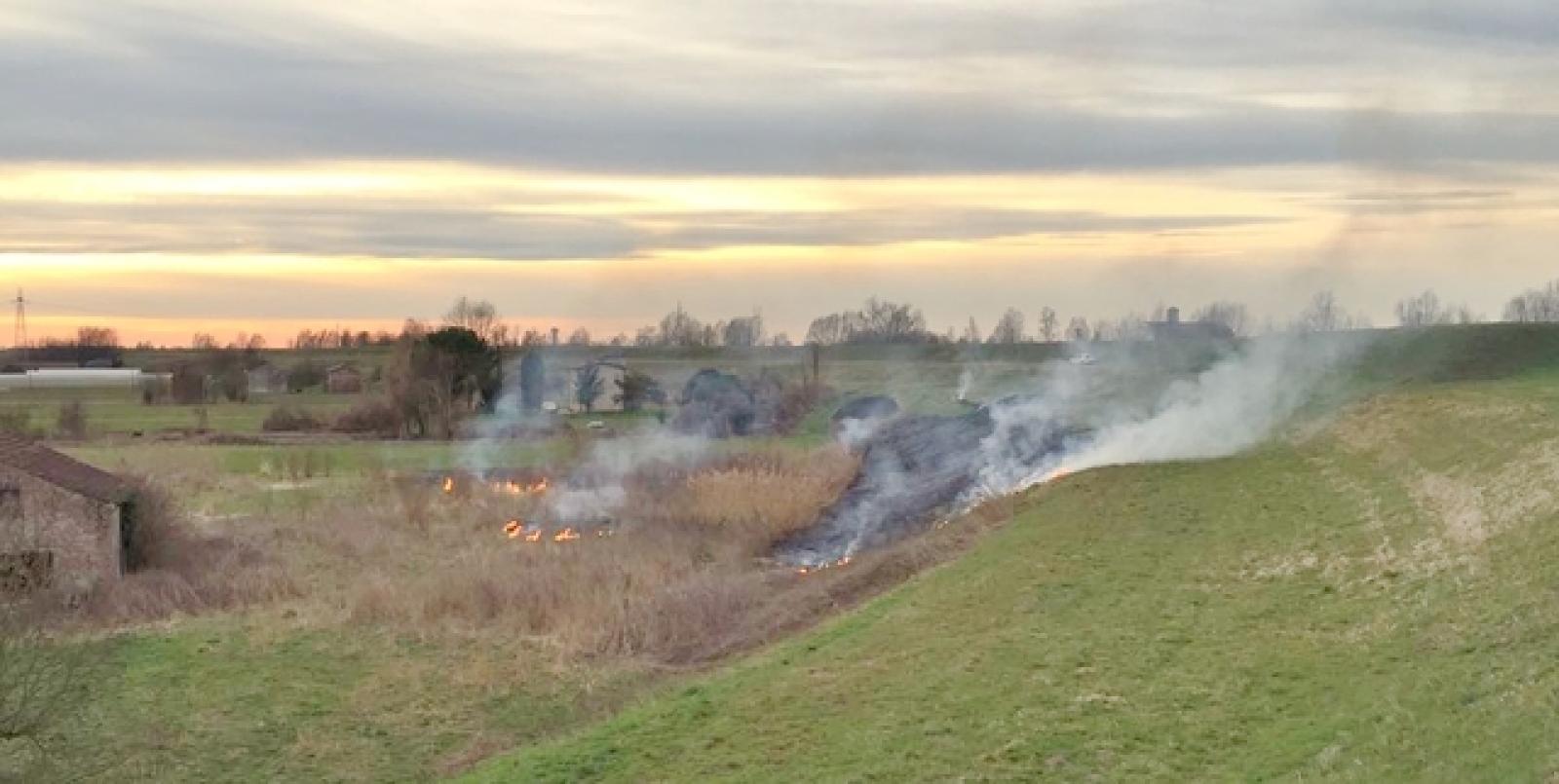 incendio zona campagna a Barbuglio marzo 2017 (2)