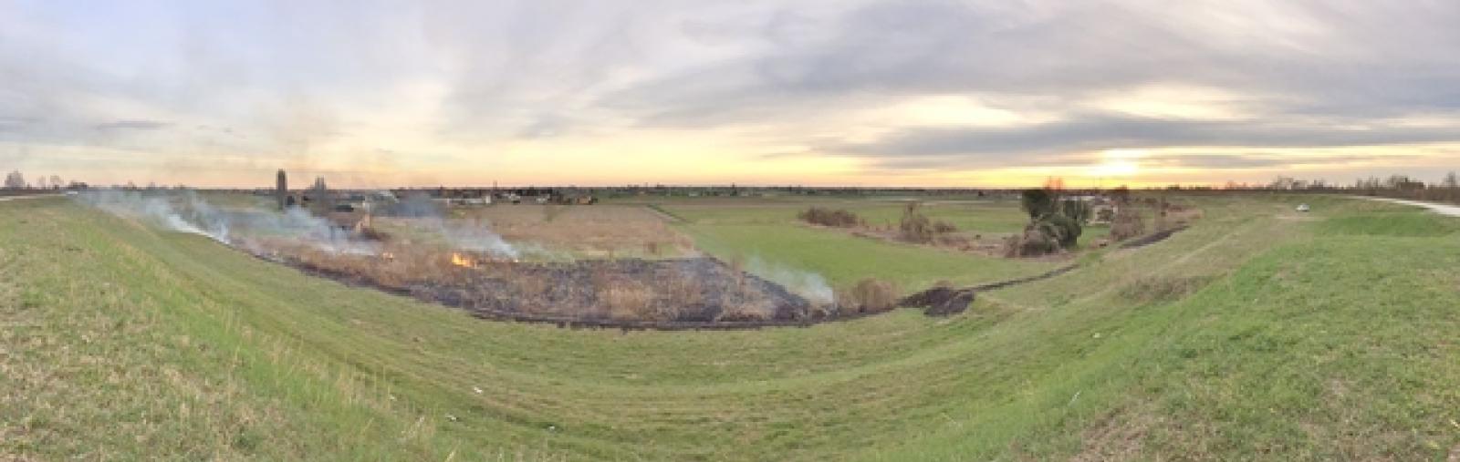 incendio zona campagna a Barbuglio marzo 2017 (3)