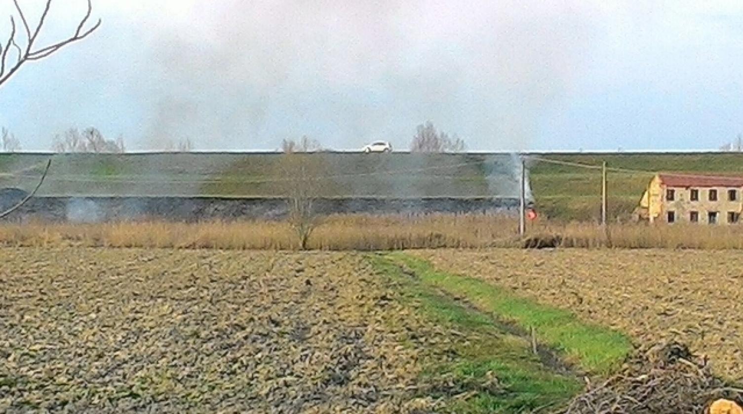 incendio zona campagna a Barbuglio marzo 2017 (4)