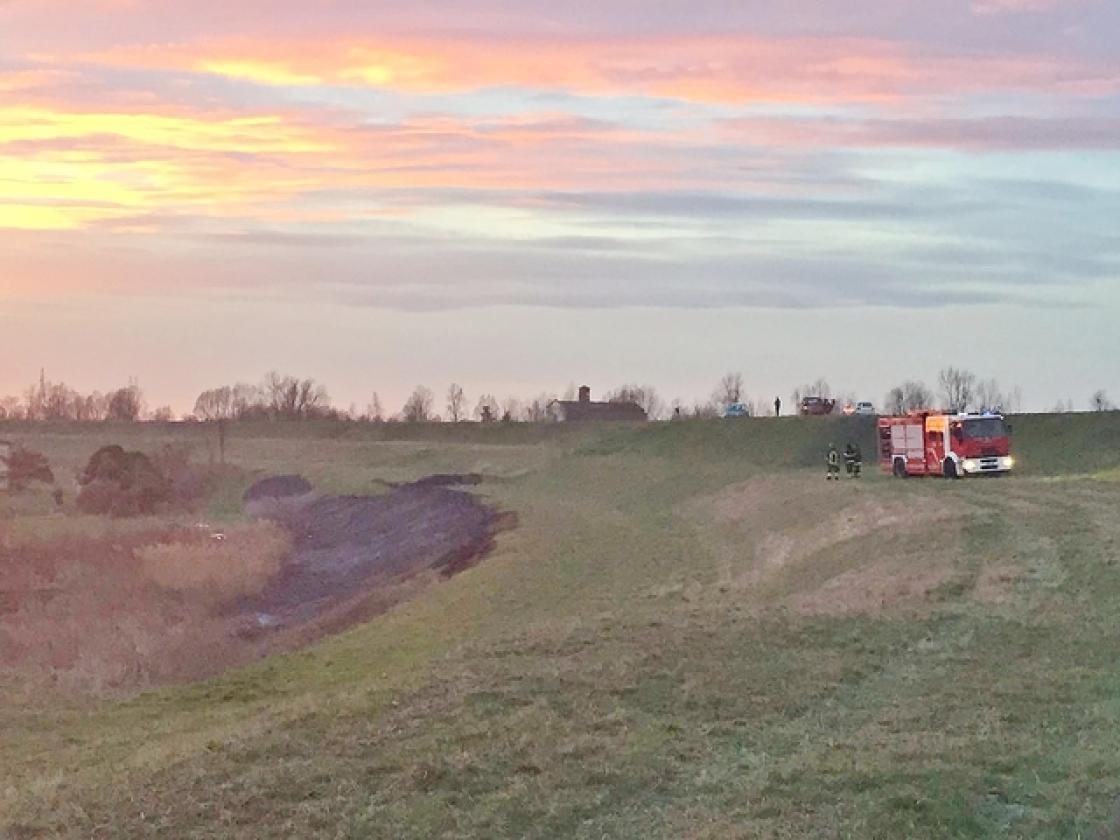 incendio zona campagna a Barbuglio marzo 2017 (5)
