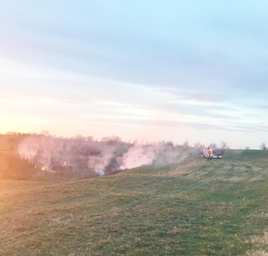 incendio zona campagna a Barbuglio marzo 2017 (6)