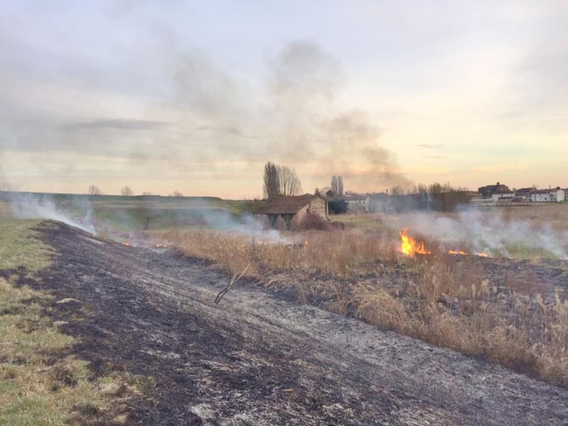 incendio zona campagna a Barbuglio marzo 2017 (7)