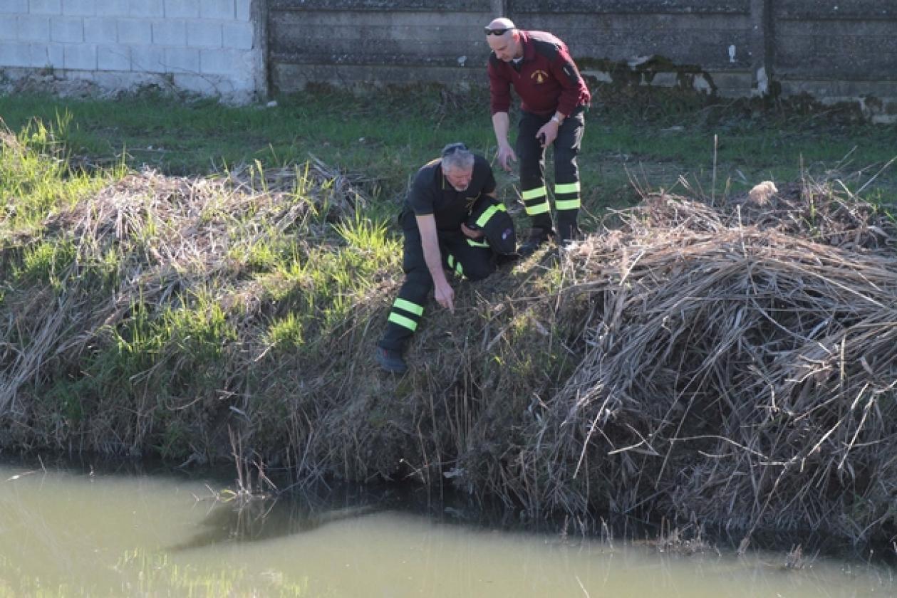 Collettore Campagna Vecchia Rovigo sversamenti (3)