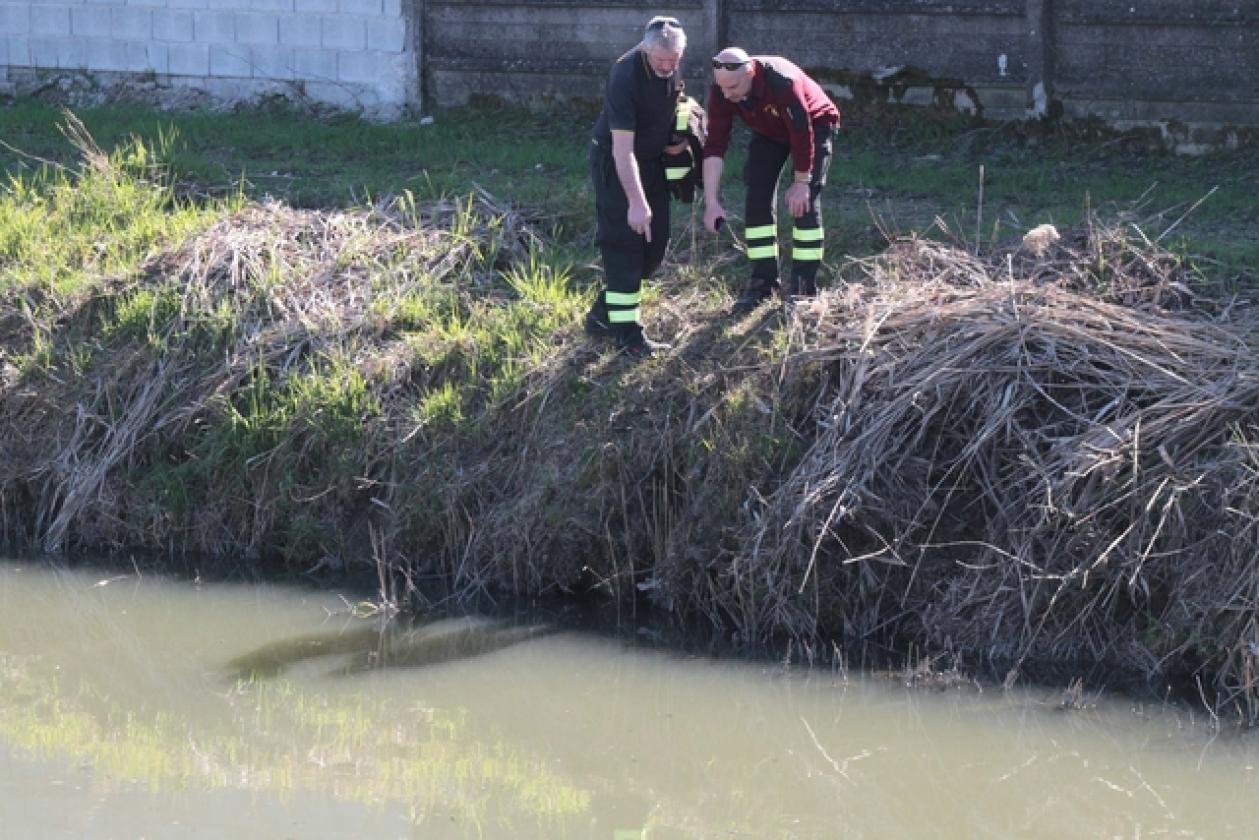 Collettore Campagna Vecchia Rovigo sversamenti (4)