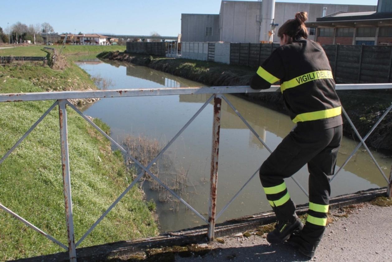 Collettore Campagna Vecchia Rovigo sversamenti (16
