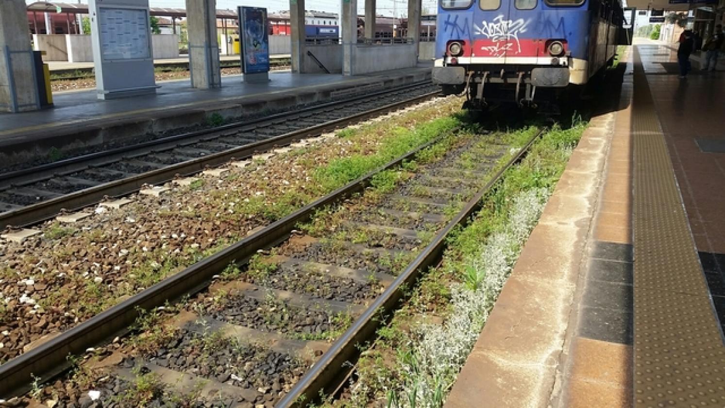 stazione treni rovigo (1)