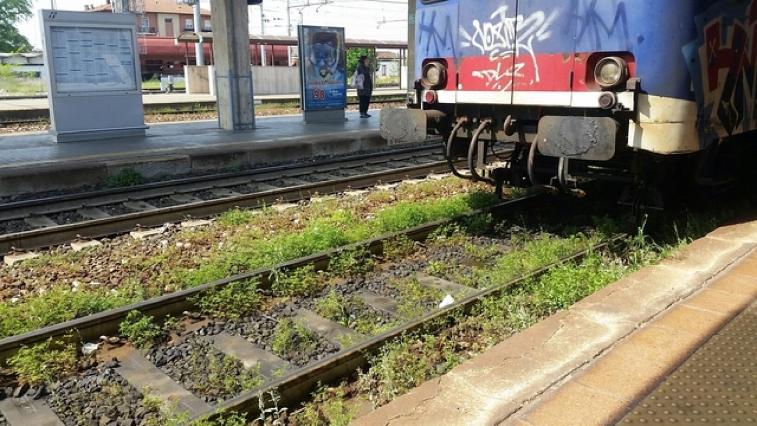 stazione treni rovigo (4)