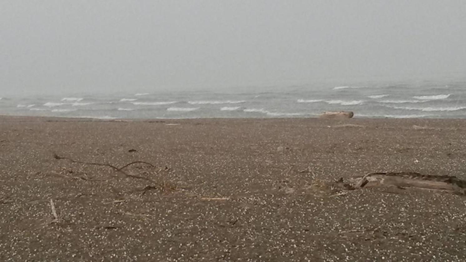 Maltempo Roolina Fabrizio Russo (4)