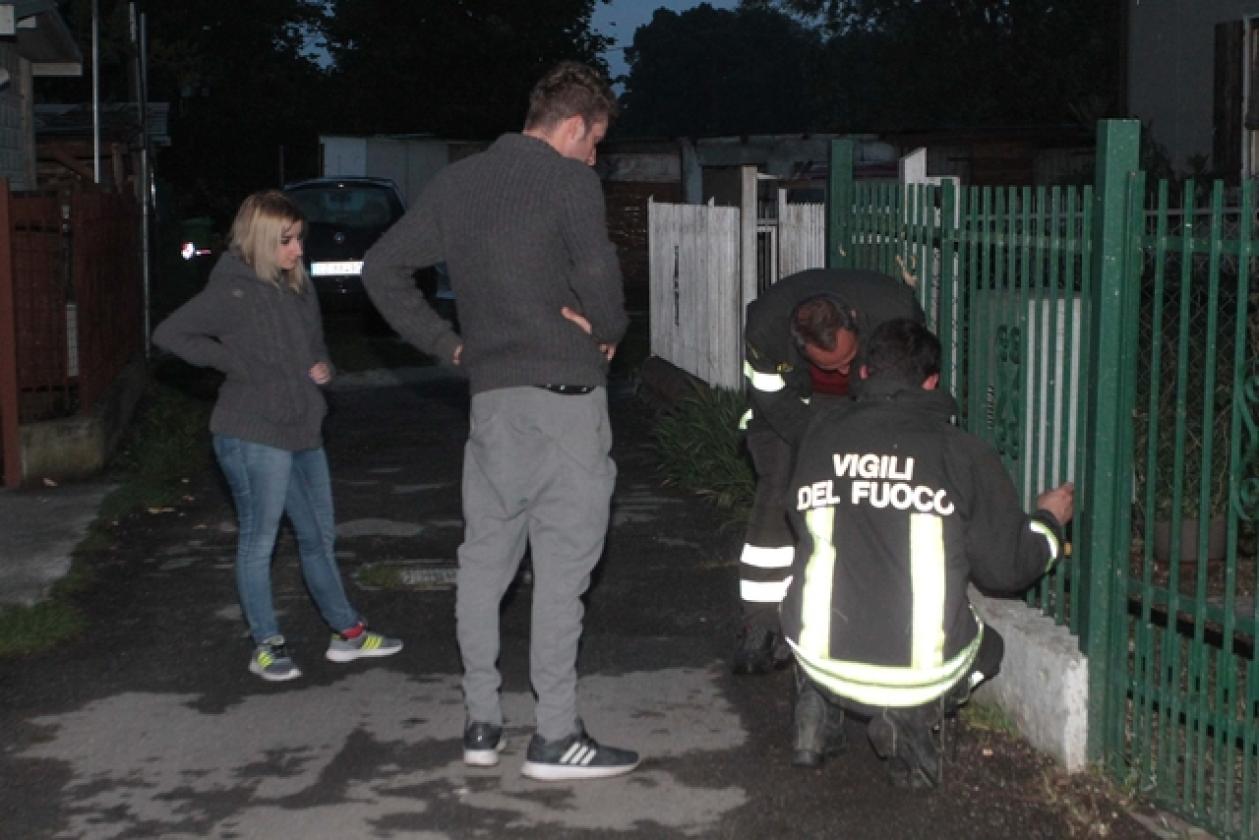 Crespino Vigili del Fuoco Maltempo 8