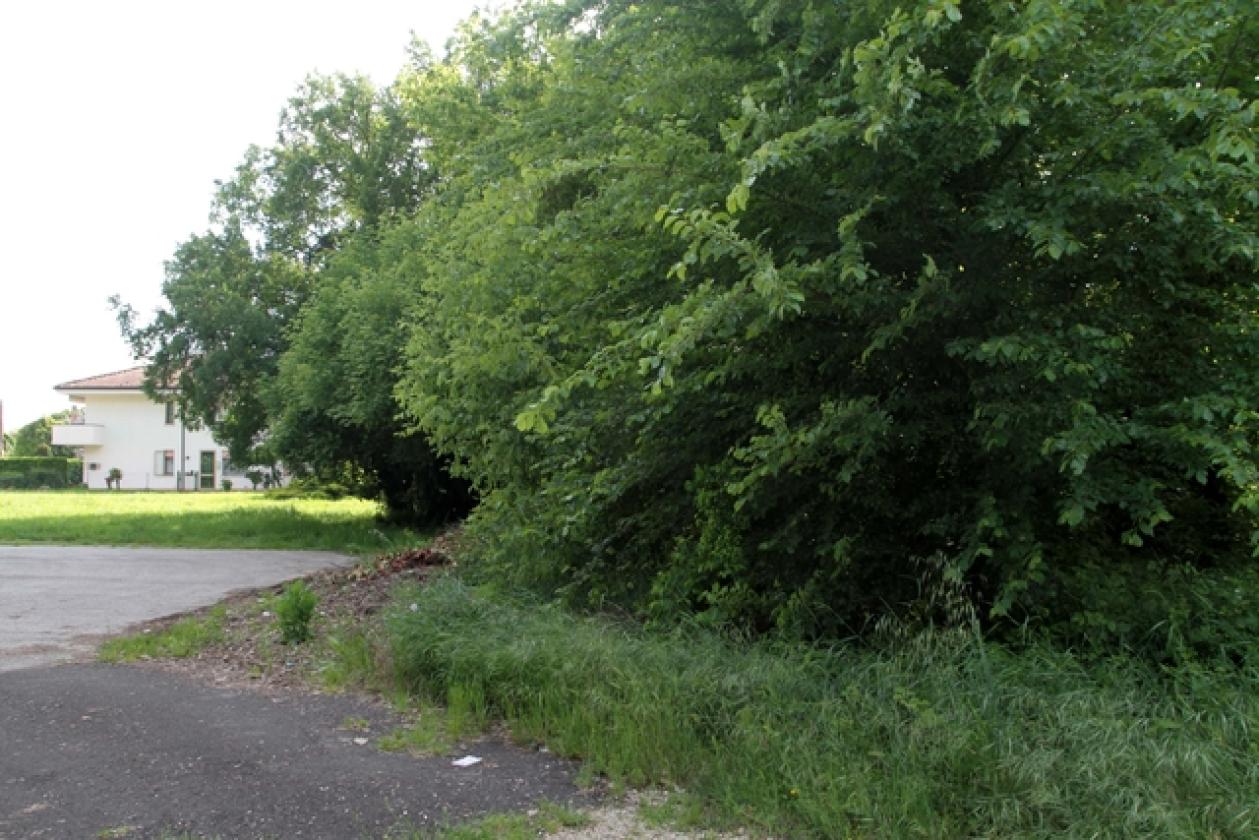 Via De Polzer 3