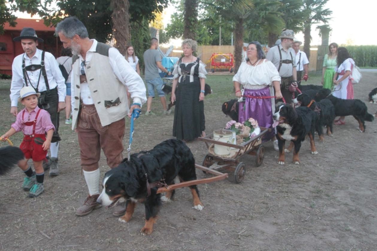 Trecenta Festa 15
