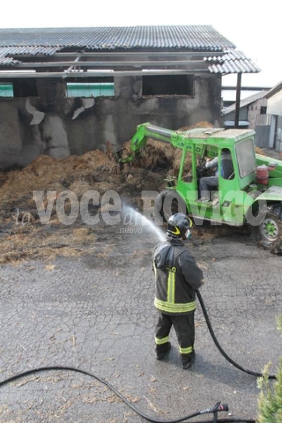 Villadose incendio allevamento Visoni 8