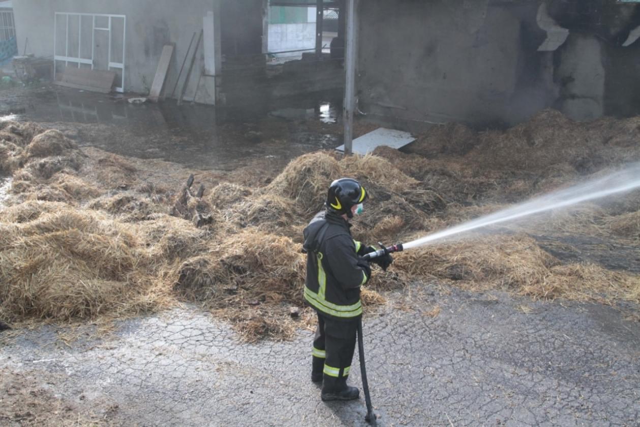 Villadose incendio allevamento Visoni 9
