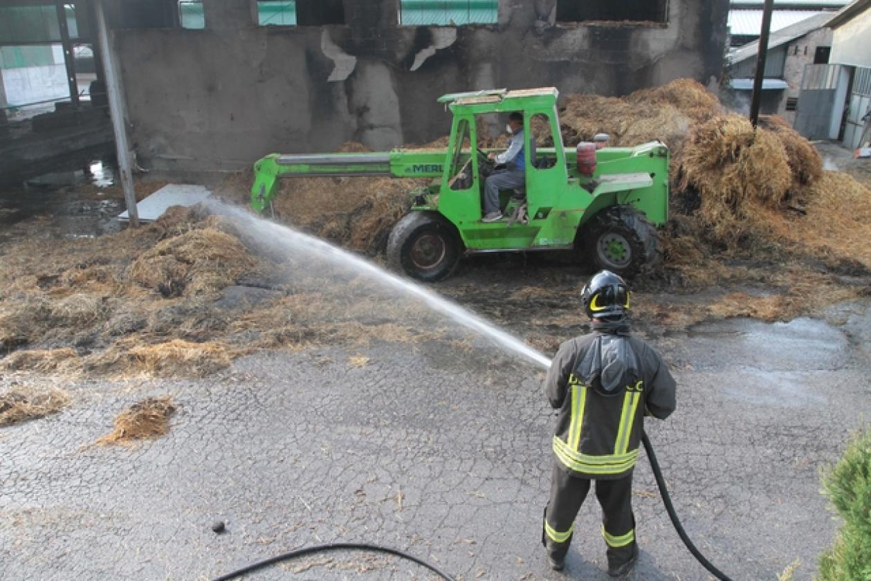 Villadose incendio allevamento Visoni