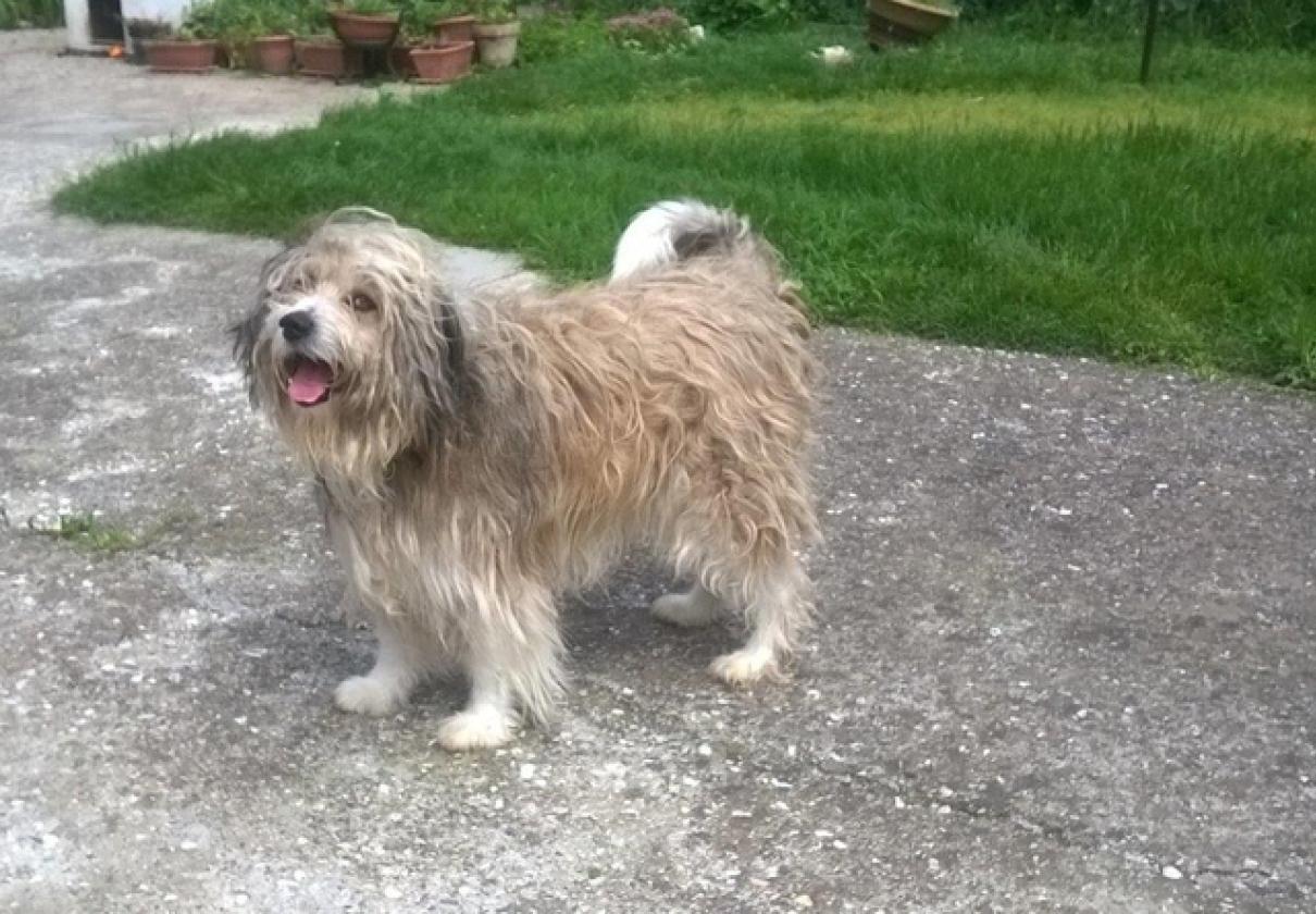 POLDO
