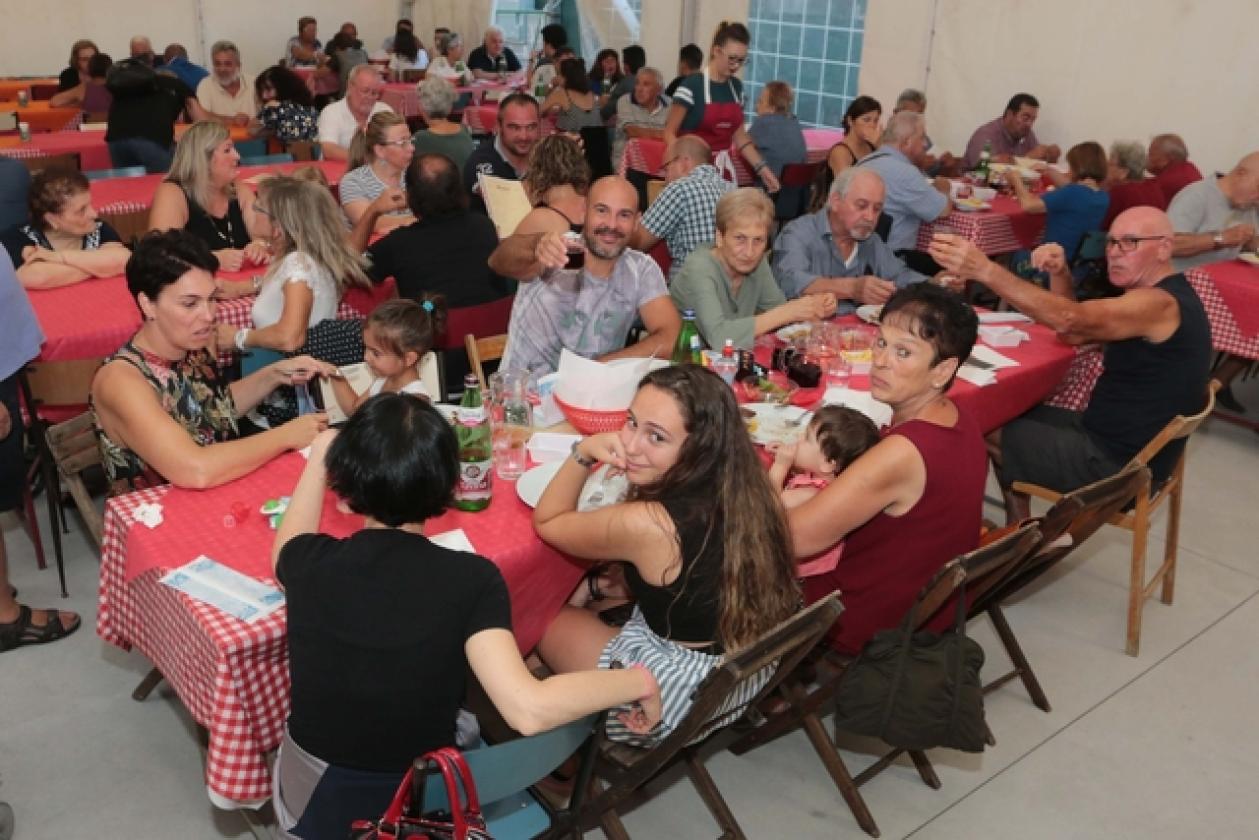 Pincara Festa PD 7