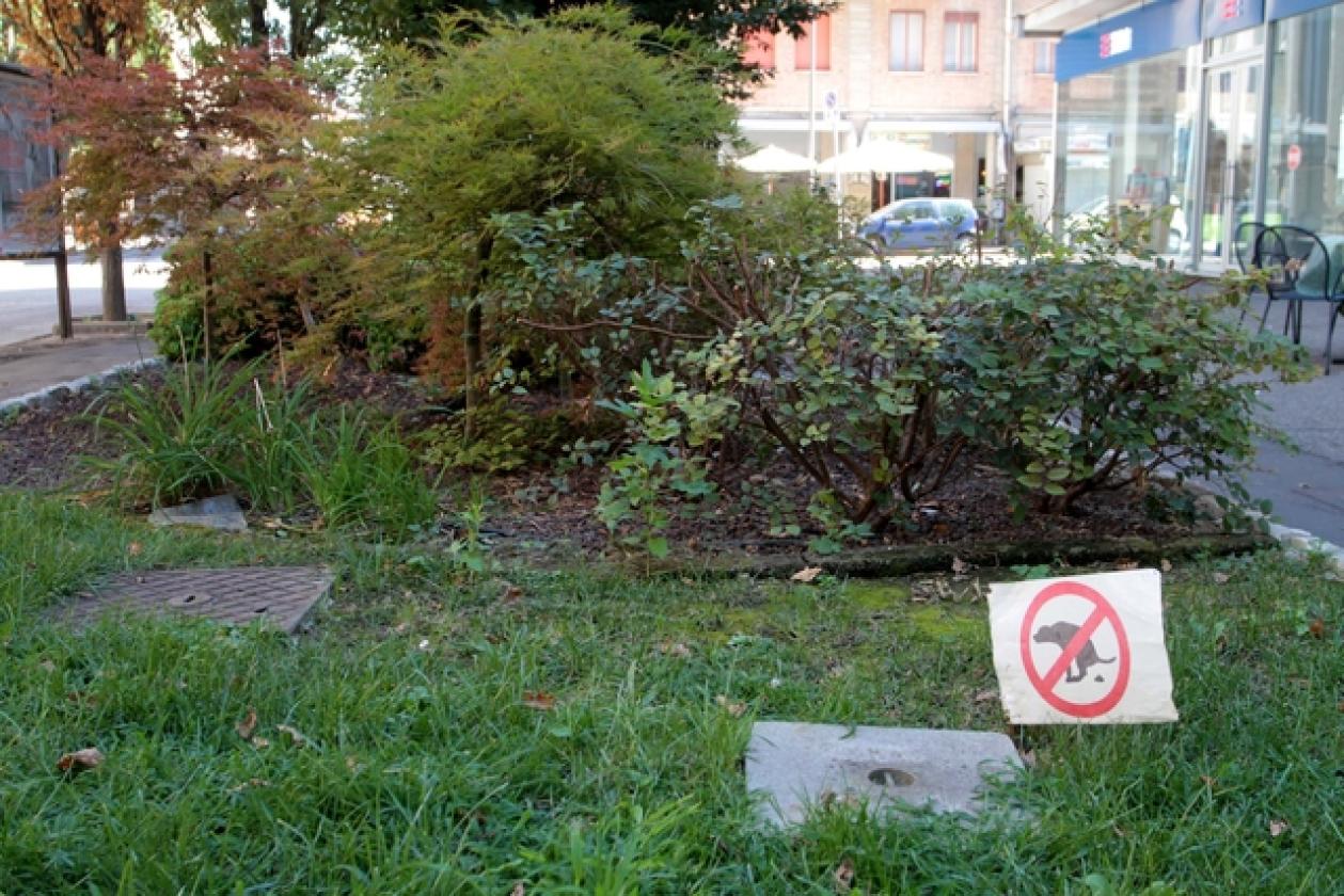 Corso del Popolo 6
