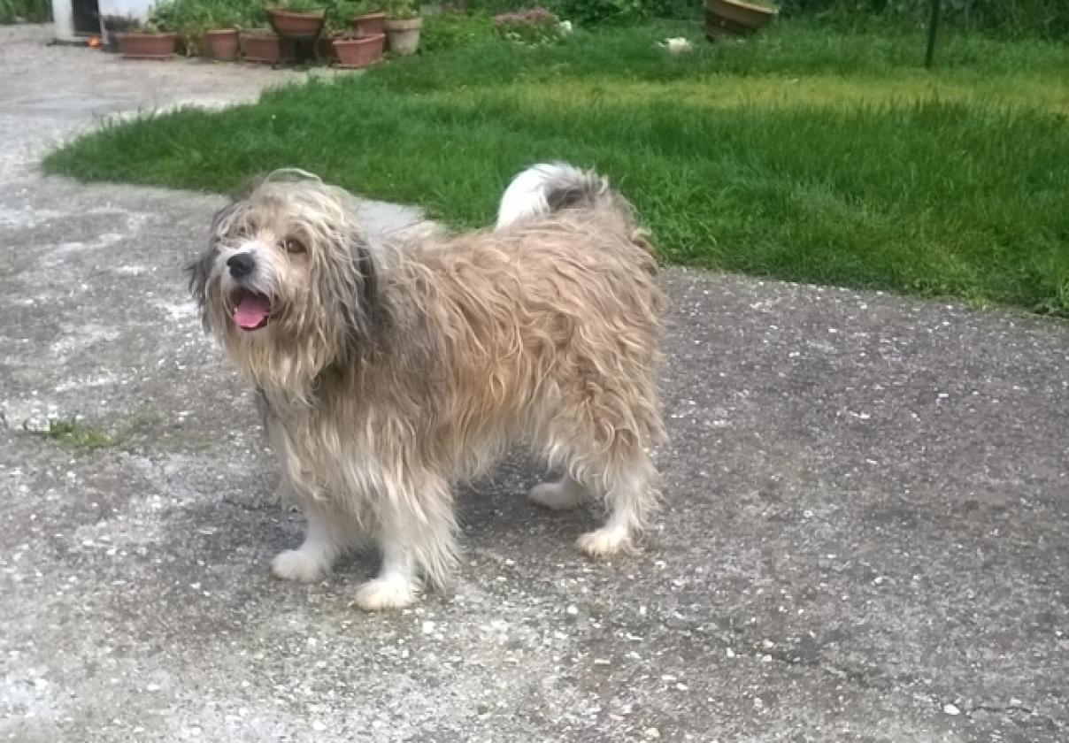 POLDO