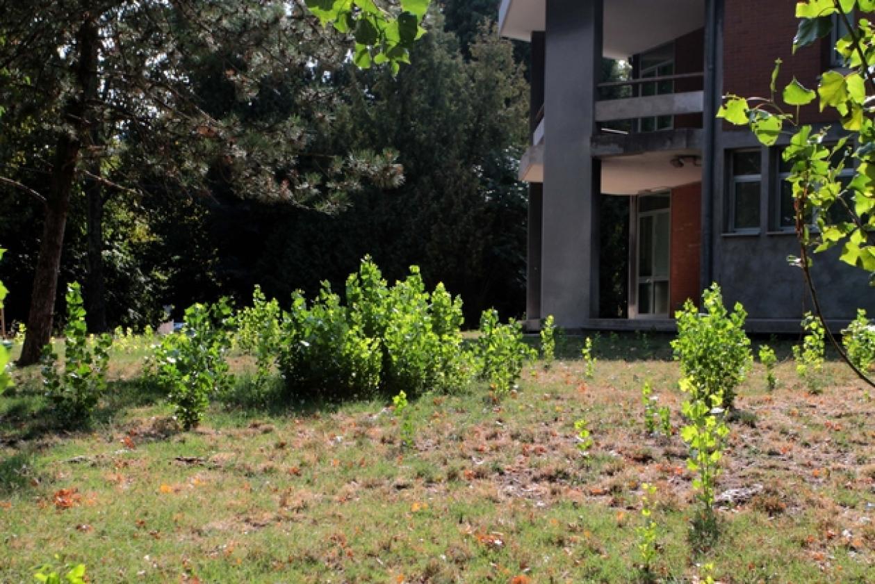 Scuole San Bortolo 1