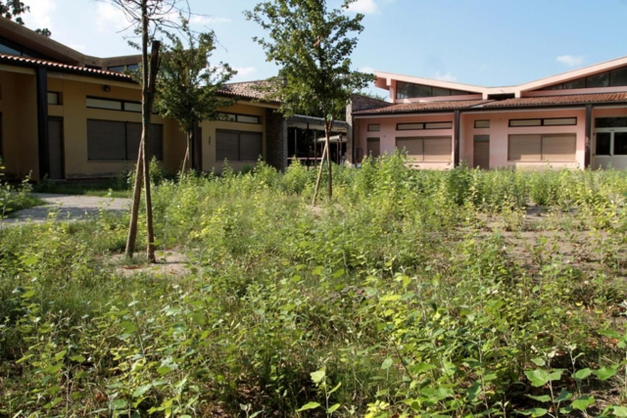 Scuole San Bortolo 12