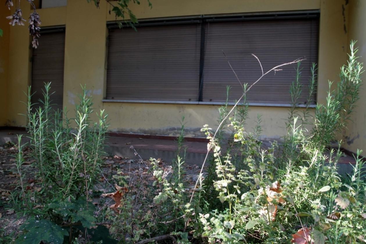 Scuole San Bortolo 6