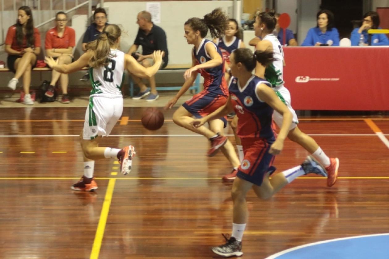 Basket Rhodigium 11