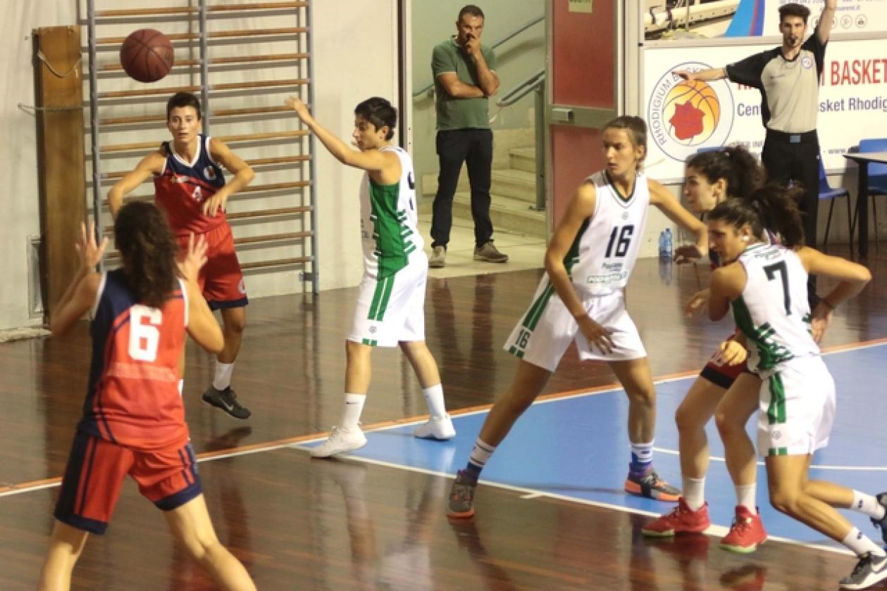 Basket Rhodigium 13