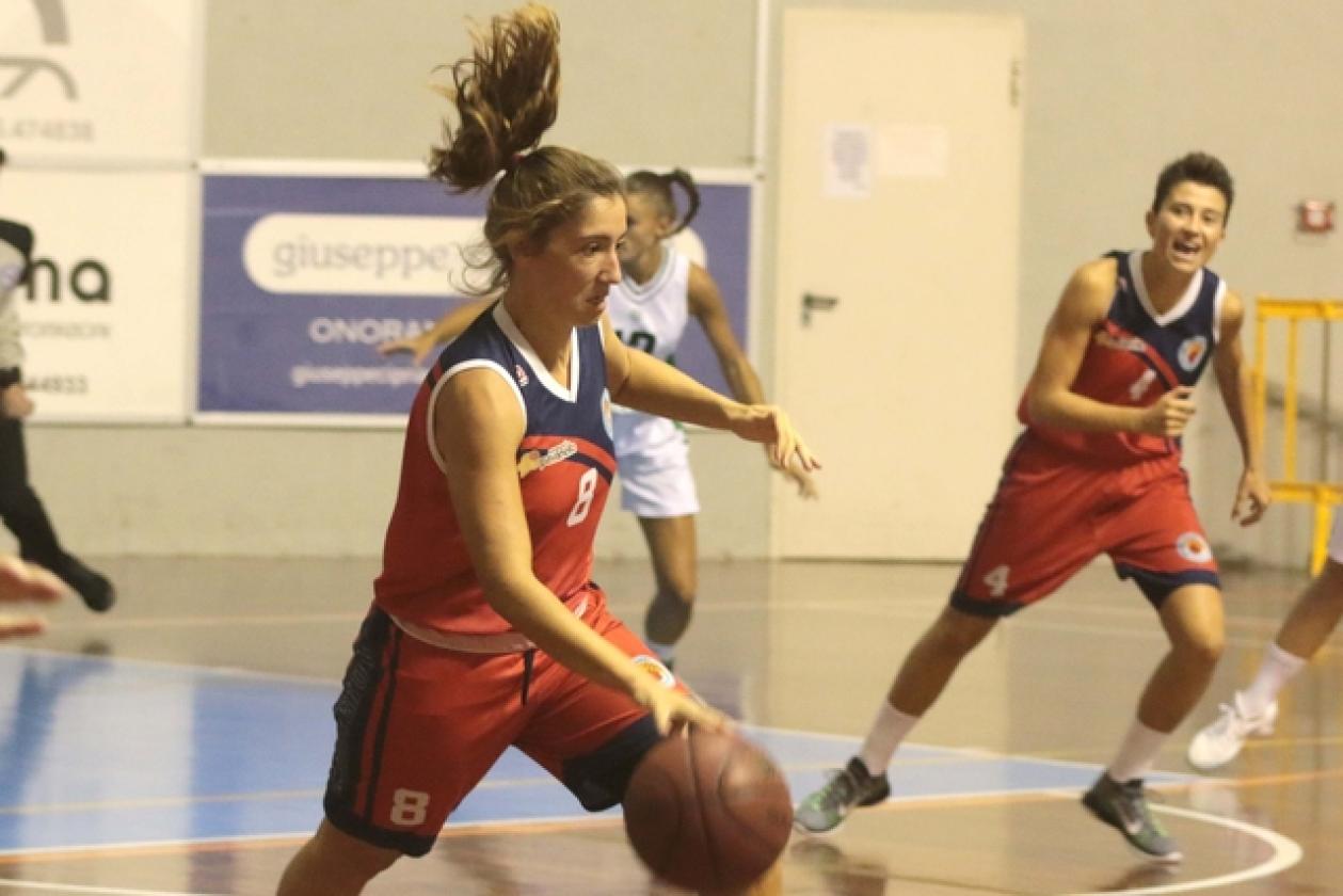 Basket Rhodigium 2
