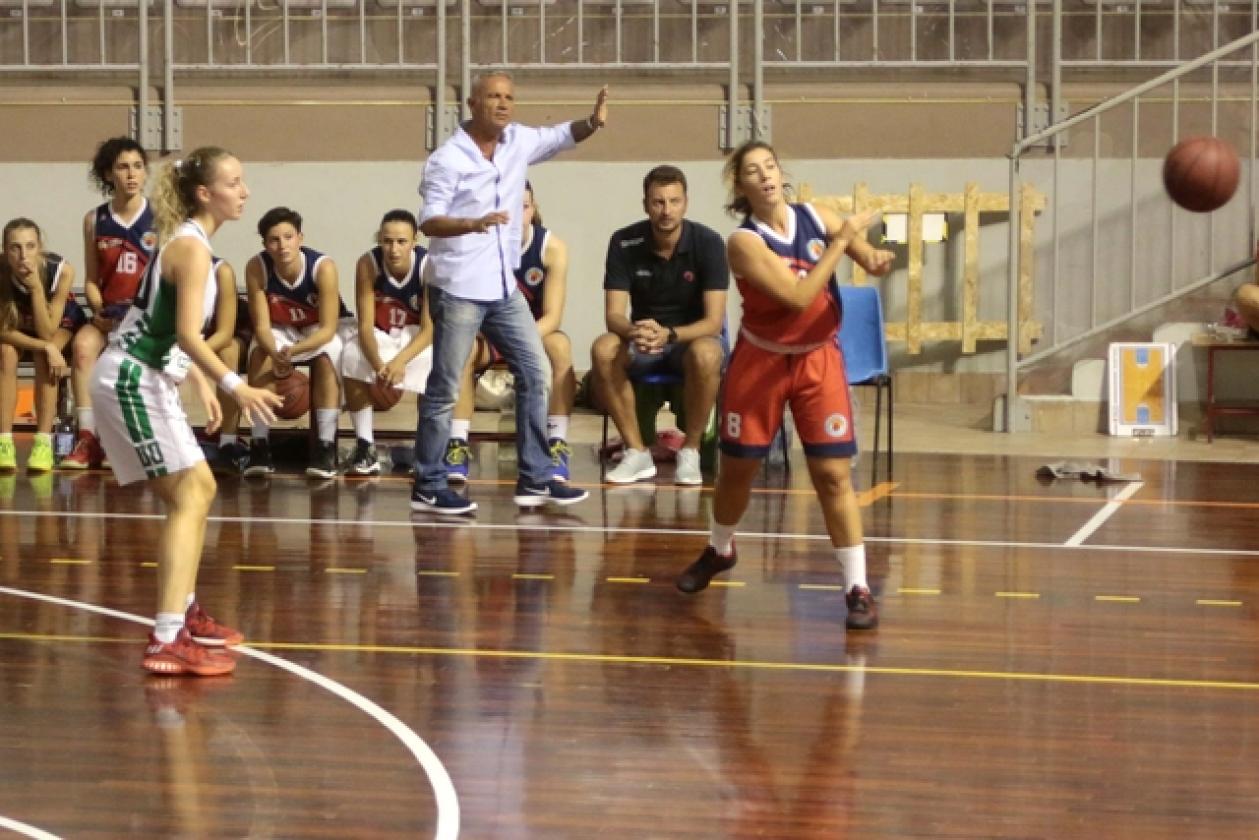 Basket Rhodigium 6