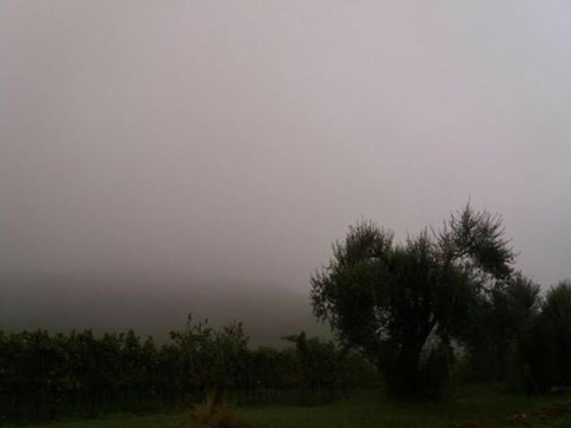 nebbia rovolon Emanuela Squizzato