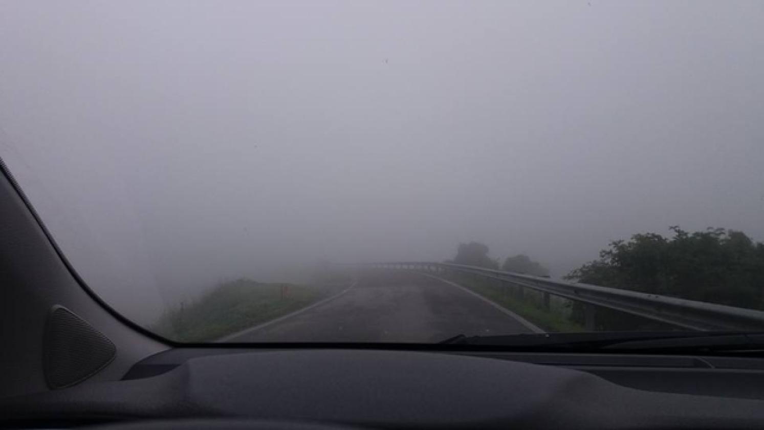 nebbia sandra ferrarese