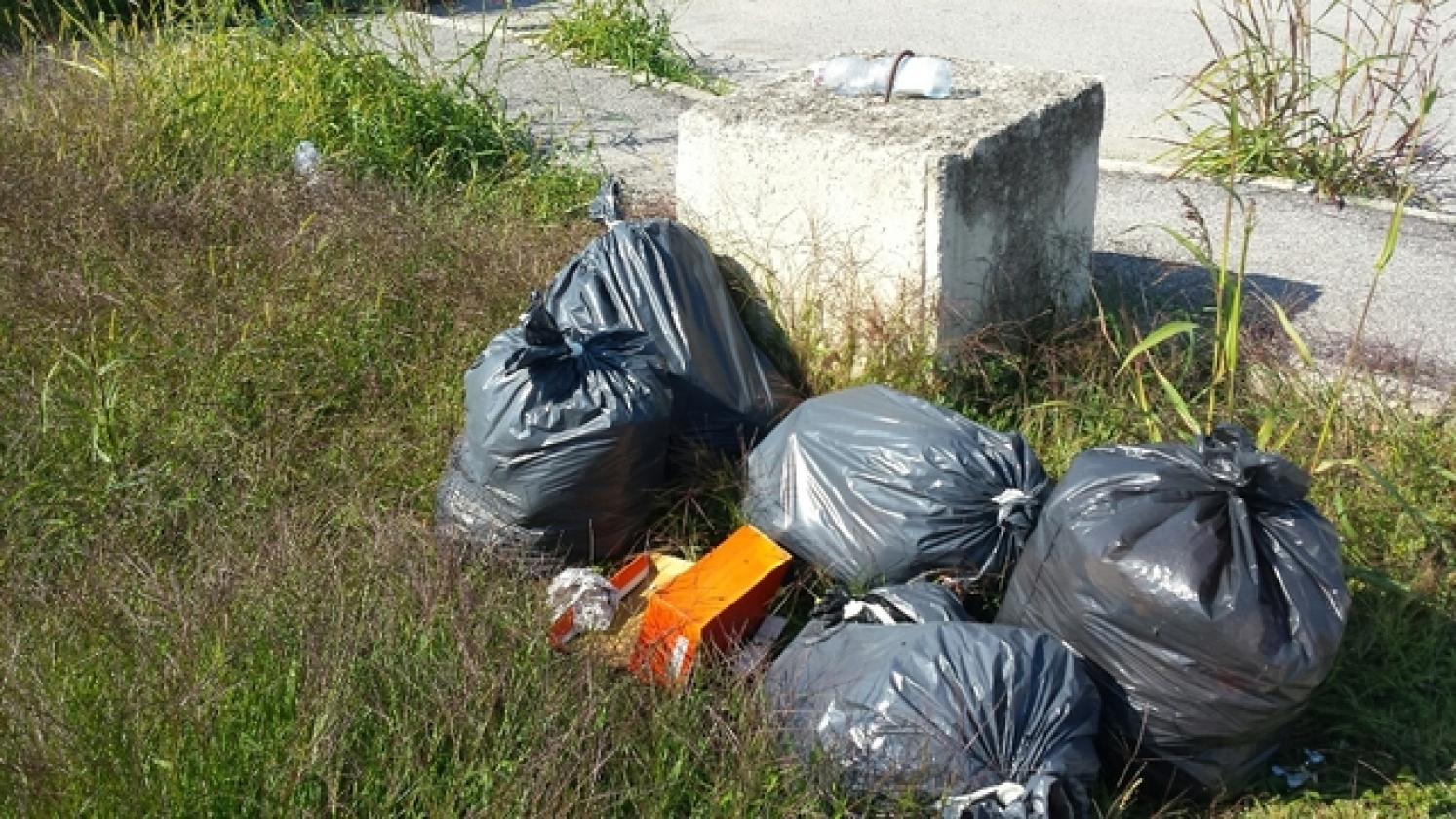 Rifiuti Porto Viro 2017 (1)