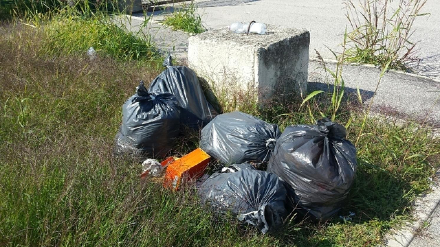 Rifiuti Porto Viro 2017 (14)