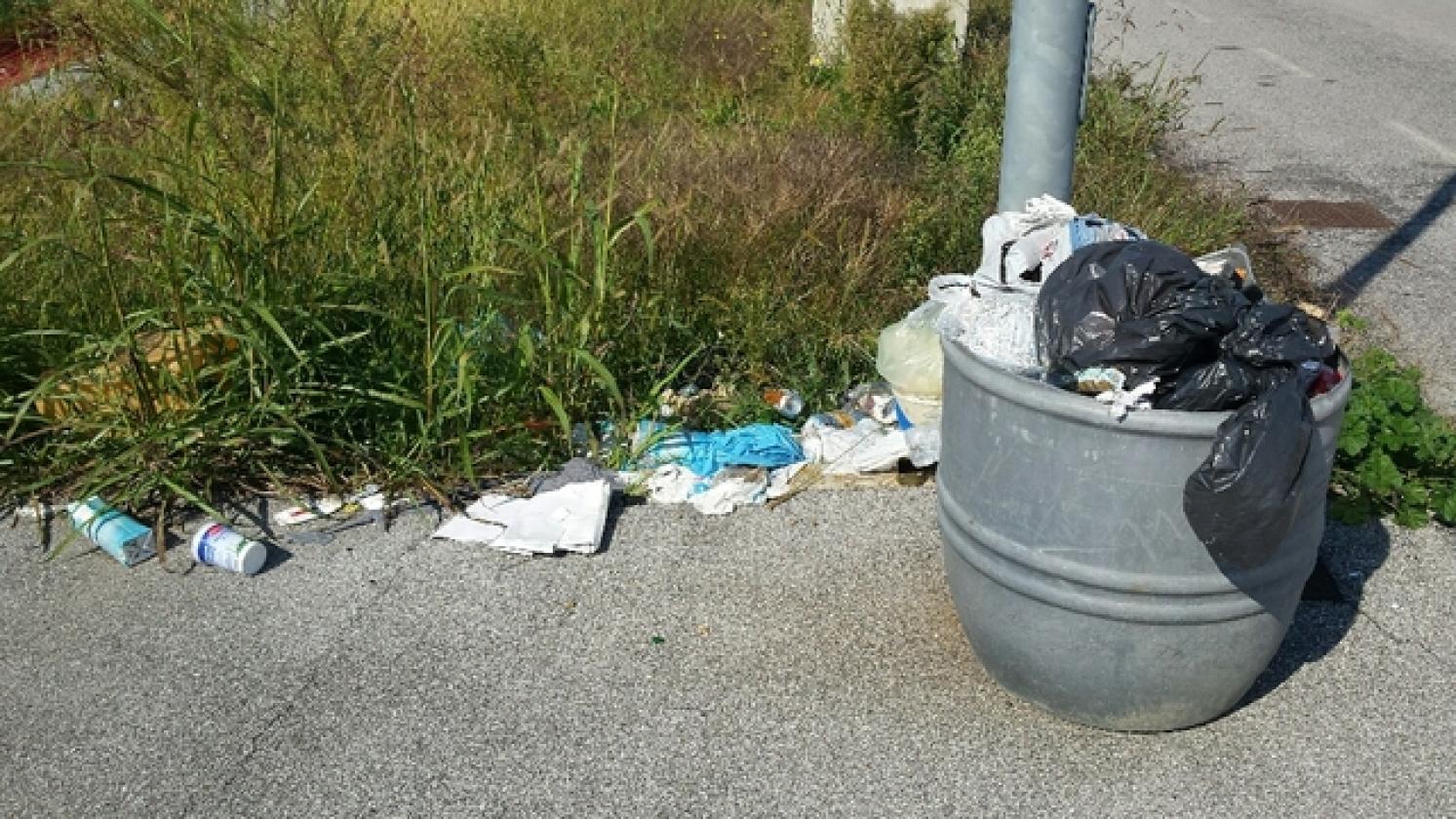 Rifiuti Porto Viro 2017 (4)
