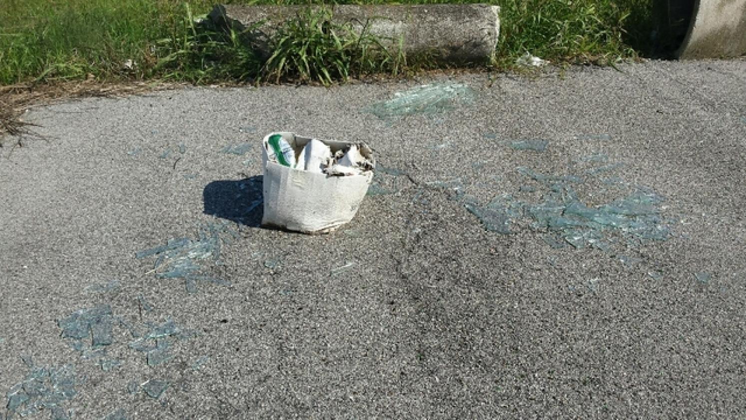 Rifiuti Porto Viro 2017 (6)