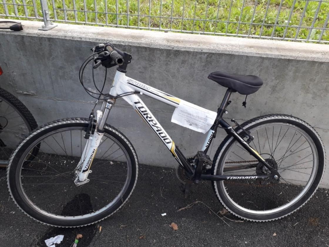 bici 3